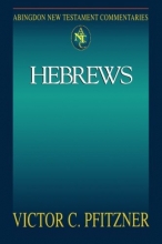 Cover art for Abingdon New Testament Commentaries: Hebrews
