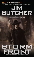 Cover art for Storm Front (The Dresden Files)