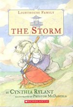 Cover art for The Storm (The Lighthouse Family)