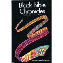 Cover art for Black Bible Chronicles: From Genesis to the Promised Land