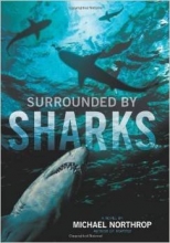 Cover art for Surrounded by Sharks