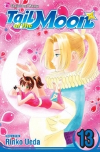 Cover art for Tail of the Moon, Vol. 13 (v. 13)