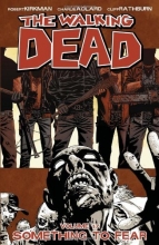 Cover art for The Walking Dead: Something To Fear, Vol. 17
