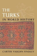 Cover art for The Turks in World History