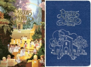 Cover art for Precious Moments Bible