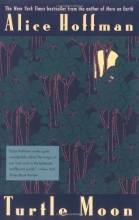 Cover art for Turtle Moon