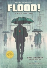 Cover art for By Eric Drooker Flood!: A Novel in Pictures [Paperback]