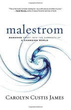 Cover art for Malestrom: Manhood Swept into the Currents of a Changing World