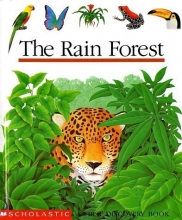 Cover art for The Rain Forest (First Discovery Book)