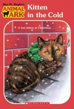 Cover art for Kitten in the Cold (Animal Ark #13)