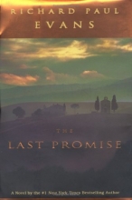 Cover art for The Last Promise