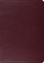 Cover art for ESV Study Bible (Burgundy)