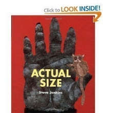 Cover art for Actual Size