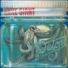 Cover art for Octopus