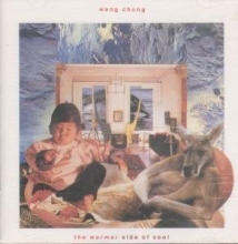 Cover art for Warmer Side of Cool