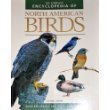 Cover art for The Encyclopedia of North American Birds