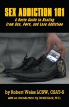 Cover art for Sex Addiction 101: A Basic Guide to Healing from Sex, Porn, and Love Addiction