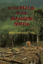Cover art for In the Realm of the Diamond Queen: Marginality in an Out-of-the-Way Place