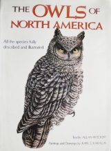Cover art for Owls Of North America (North of Mexico)