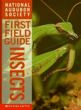 Cover art for Insects (National Audubon Society's First Field Guides)
