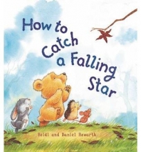 Cover art for How to Catch a Falling Star