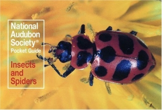 Cover art for National Audubon Society Pocket Guide to Familiar Insects and Spiders (Audubon Society Pocket Guides)
