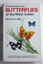 Cover art for A Field Guide to the Butterflies of the West Indies