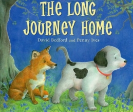 Cover art for The Long Journey Home