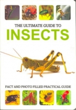 Cover art for The Ultimate Guide to Insects