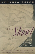 Cover art for The Shawl