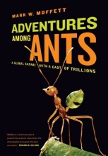 Cover art for Adventures among Ants: A Global Safari with a Cast of Trillions