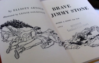 Cover art for Brave Jimmy Stone