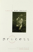 Cover art for Process: A Novel