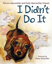 Cover art for I Didn't Do It