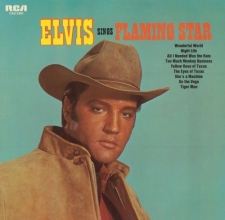 Cover art for Elvis Sings Flaming Star