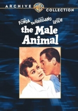 Cover art for The Male Animal