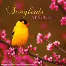 Cover art for Songbirds at Sunset