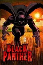 Cover art for Black Panther Vol. 1: Who Is The Black Panther