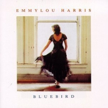 Cover art for Bluebird