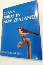 Cover art for Town Birds in New Zealand