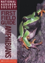 Cover art for National Audubon Society First Field Guide (National Audubon Society First Field Guides)