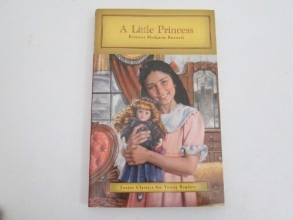 Cover art for A Little Princess