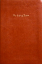 Cover art for The Life & Teachings of Jesus of Nazareth