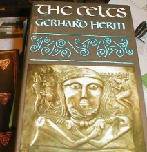 Cover art for The Celts: The People Who Came Out of the Darkness
