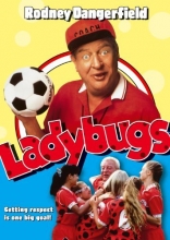 Cover art for Ladybugs 