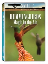 Cover art for Nature: Hummingbirds - Magic in the Air