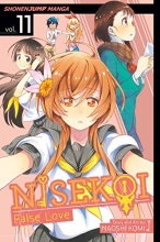 Cover art for Nisekoi: False Love, Vol. 11