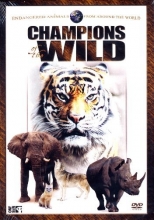 Cover art for Champions of the Wild-endangered animals from around the world; Black & White Rhino, Elephants, Kenyan Wildlife Vet, Nazinga Game Reserve