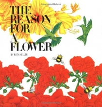 Cover art for The Reason for a Flower