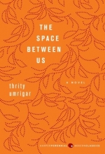 Cover art for The Space Between Us: A Novel